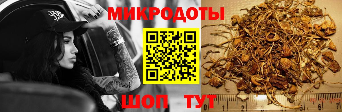 Галлюциногенные грибы Cubensis  Галлюциногенные грибы мухоморы  Шали  Вход с VPN 