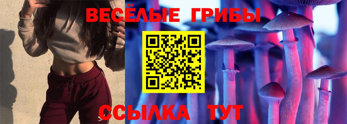 Галлюциногенные грибы Psilocybine cubensis Шали